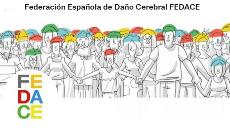 Fedace, Federación Española de Daño Cerebral