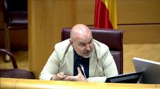 Luis Cayo Pérez Bueno en una comparecencia ante la Comisión de Discapacidad del Senado