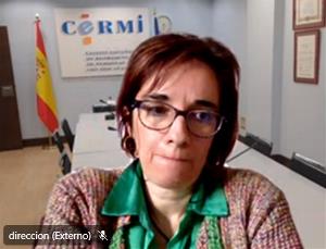 la directora ejecutiva del CERMI, Pilar Villarino