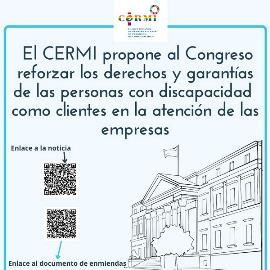 El CERMI propone al Congreso reforzar los derechos y garantías de las personas con discapacidad como clientes en la atención de las empresas