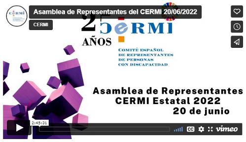 Imagen que da paso a la Grabación audiovisual accesible de la Asamblea de Representantes del CERMI 