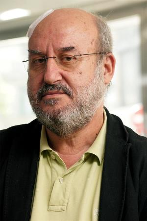 Mario Grande, traductor