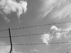 Detalle de una alambrada de una prisión contra el cielo