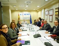 El Consejo social de la Organización Médica Colegial apoya al CERMI en su oposición al copago farmacéutico hospitalario
