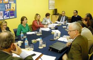 La comisión de Convergencia del CERMI Estatal traza su Plan de Trabajo para 2014