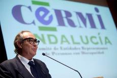 José Manuel Porras, Presidente del CERMI Andalucía