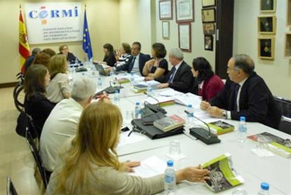 Reunión del Comité de Apoyo del CERMI para la Convención