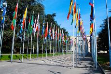 Banderas en la ONU (Ginebra)
