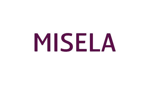 MISELA (Asociación de Personas con Discapacidad de la Comarca de Noia y Muros)