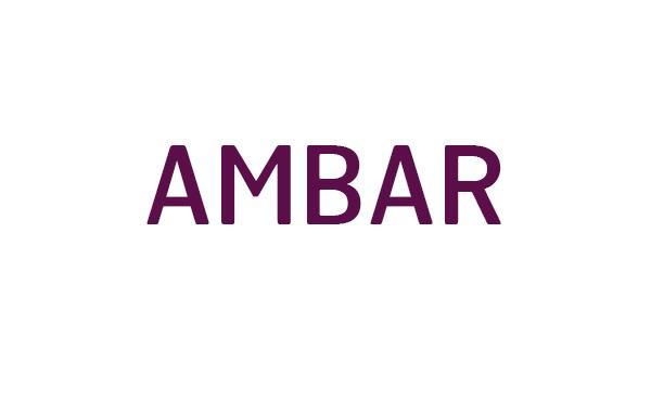 Asociación Ambar de las Personas con Diversidad Funcional