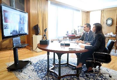 Imagen de Casa Real durante la videoconferencias entre los Reyes y representantes del CERMI, encabezados por su presidente