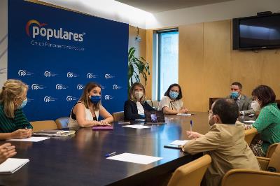 Imagen de la reunión entre PP y representantes del CERMI.