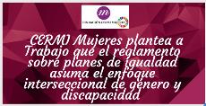 CERMI Mujeres plantea a Trabajo que el reglamento sobre planes de igualdad asuma el enfoque interseccional de género y discapacidad