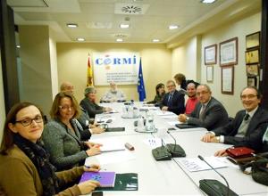 El Consejo social de la Organización Médica Colegial apoya al CERMI en su oposición al copago farmacéutico hospitalario