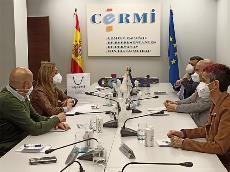 Imagen durante la reunión de la delegación del CERMI con Carmen Navarro, vicesecretaria general de Política Social del Partido Popular