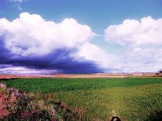 Imagen del campo, un entorno rural