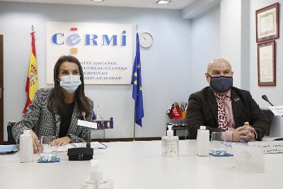 La Reina Letizia con Luis Cayo Pérez Bueno, presidente del CERMI