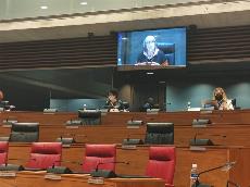 La presidenta de CERMIN, Mariluz Sanz, durante su comparecencia en el Parlamento de Navarra