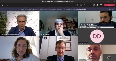 Imagen durante el encuentro telemático de la mesa 'Sin accesibilidad, no hay movilidad decente'
