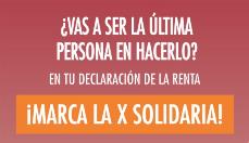 Campaña de la X solidaria