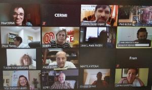 Parte del jurado de los Premios cermi.es en su reunión telemática